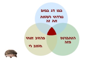 מיקוד בעסק מיקוד בעסק