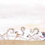 בידול, מאת: מירי לשם-פלאי