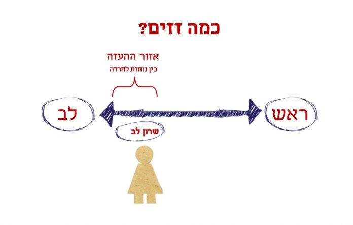 בין הרגש לרציונל קבלת החלטות